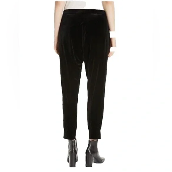 EILEEN FISHER Velvet Joggers Stretch Relaxed fit Sport-Luxe Sarouel‎ sz L - Picture 2 of 6
